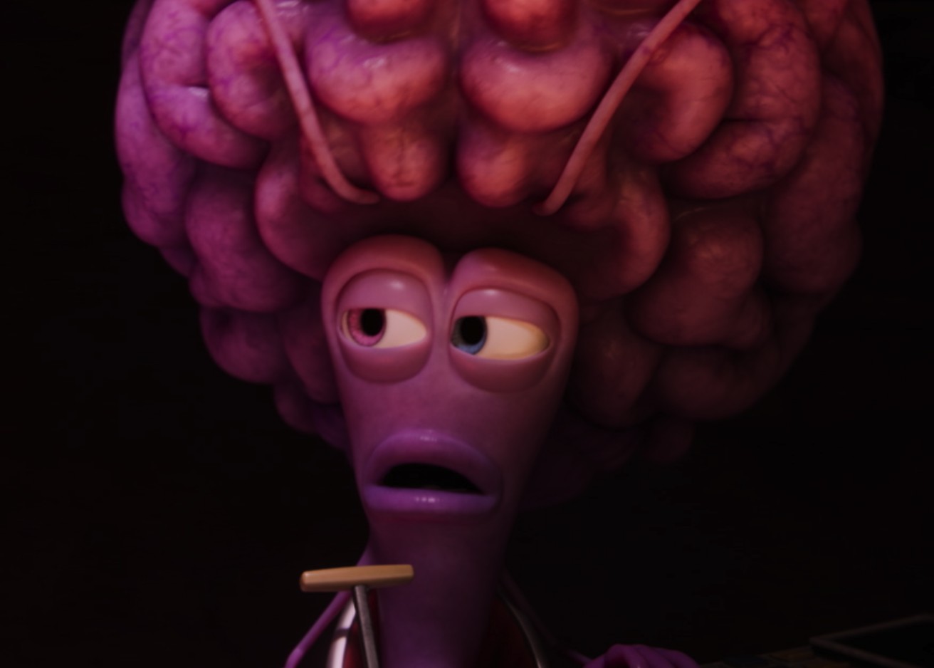 O Cérebro